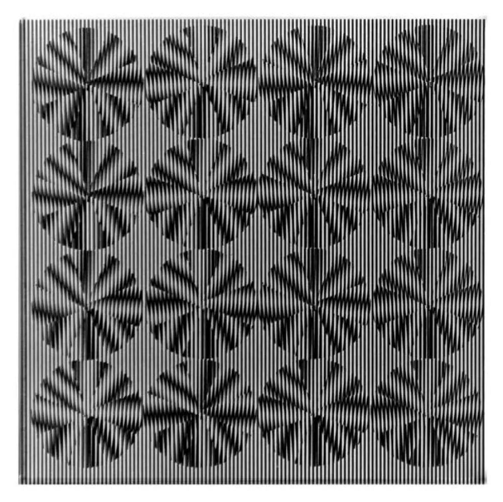 Múltiple Wilding - SBST 2827