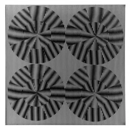 Múltiple Wilding - SBT 2835