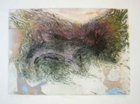 Grabado Witebsky - Metamorphose