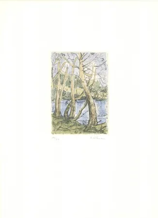 Grabado Wittmann - Bäume