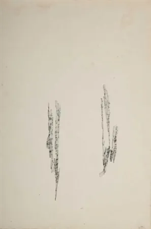 Sin Técnico Wols - Commencement d'un dessin