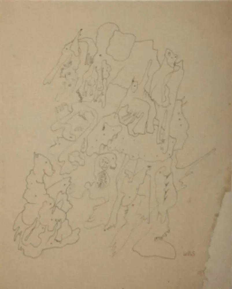 Sin Técnico Wols - Les rochers du zoo