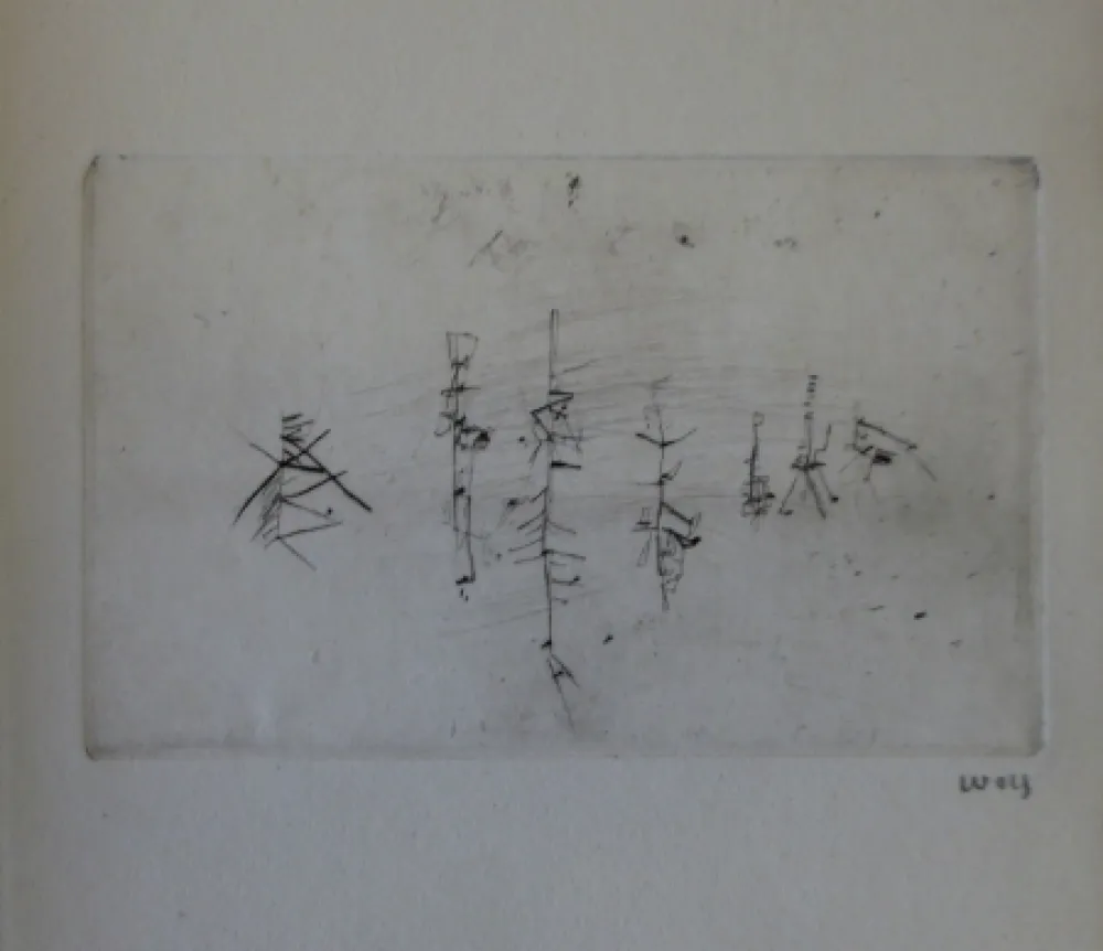 Libro Ilustrado Wols - L'invité des morts