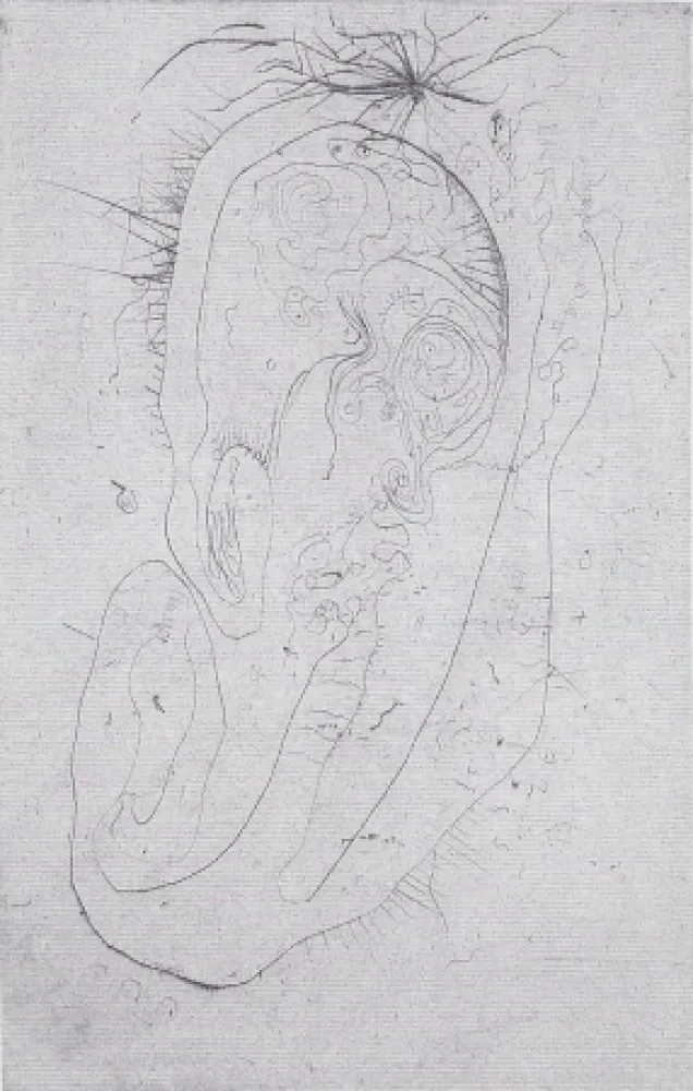 Libro Ilustrado Wols - Naturelles