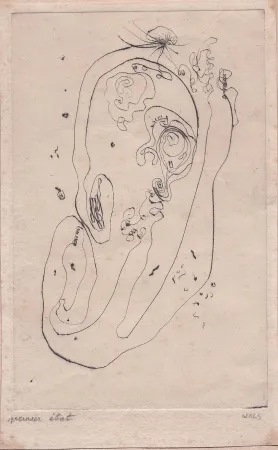 Punta Seca Wols - Ohr