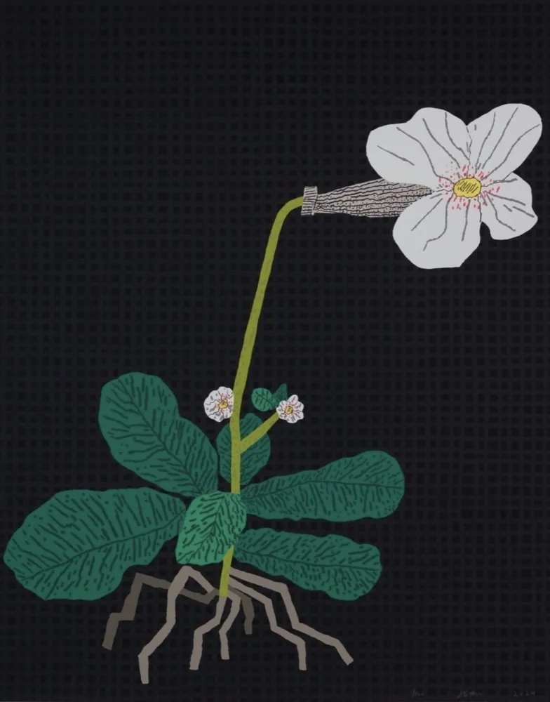 Serigrafía Wood - White Flower with Grid