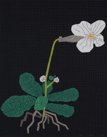 Serigrafía Wood - White Flower with Grid