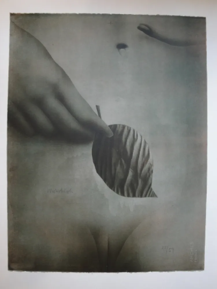 Litografía Wunderlich - Das Blatt