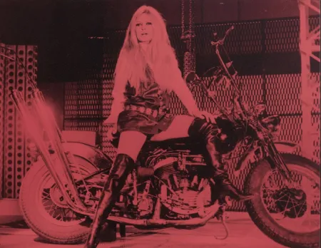 Múltiple Young - Bridgitte Bardot Pink