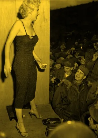 Sin Técnico Young - Marilyn Korea