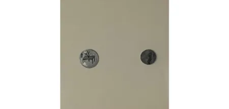 Múltiple Youyu - Star Album 3