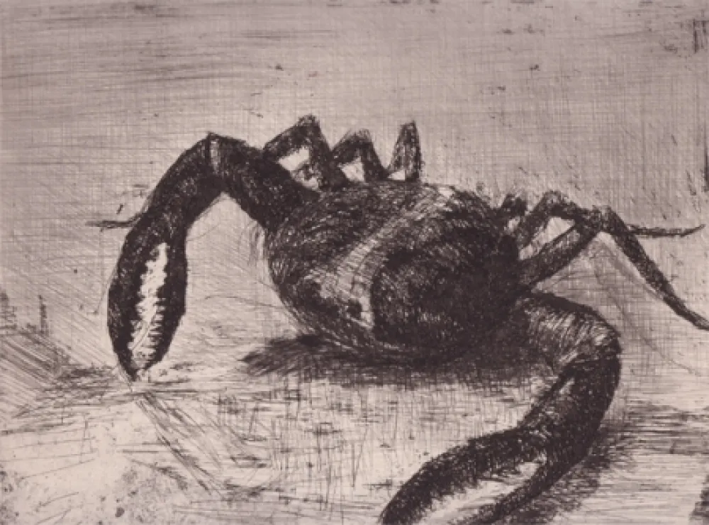 Libro Ilustrado Zamorano De Biedma - Bestiaire