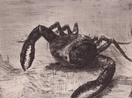 Libro Ilustrado Zamorano De Biedma - Bestiaire