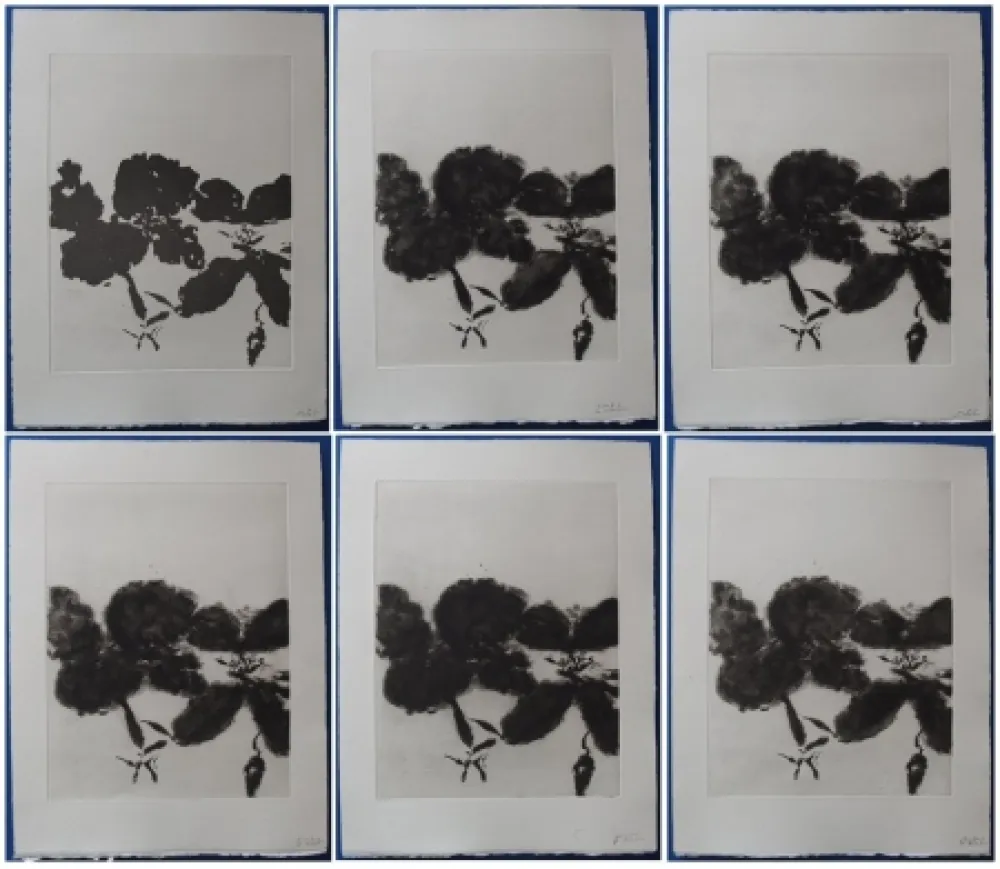 Aguafuerte Y Aguatinta Zao - 6 états de la gravure 