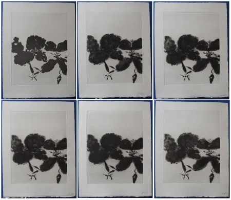 Aguafuerte Y Aguatinta Zao - 6 états de la gravure 