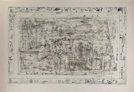 Aguafuerte Zao - Flore et faune 