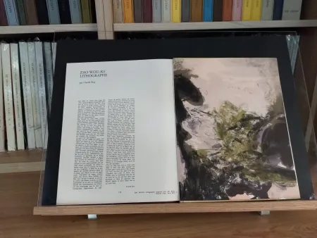 Libro Ilustrado Zao - No 37