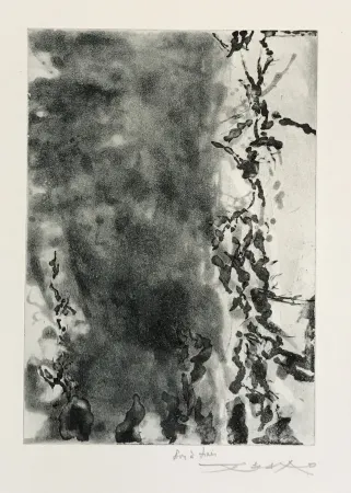 Aguafuerte Y Aguatinta Zao - Proustiennes (348)