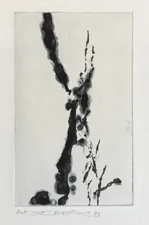 Aguafuerte Y Aguatinta Zao - Rompre le cri (374)