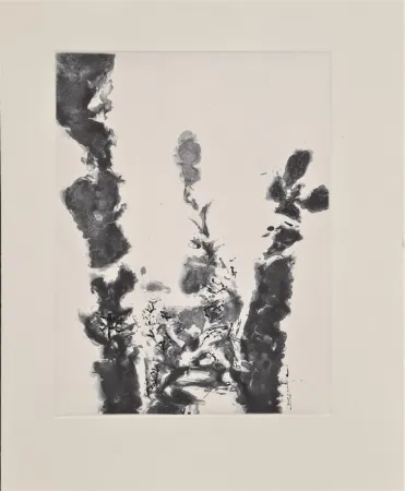 Aguafuerte Y Aguatinta Zao - XXIV Sonnets de Shakespeare