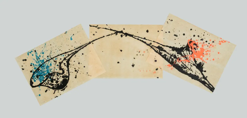 Litografía Zorio - Senza titolo