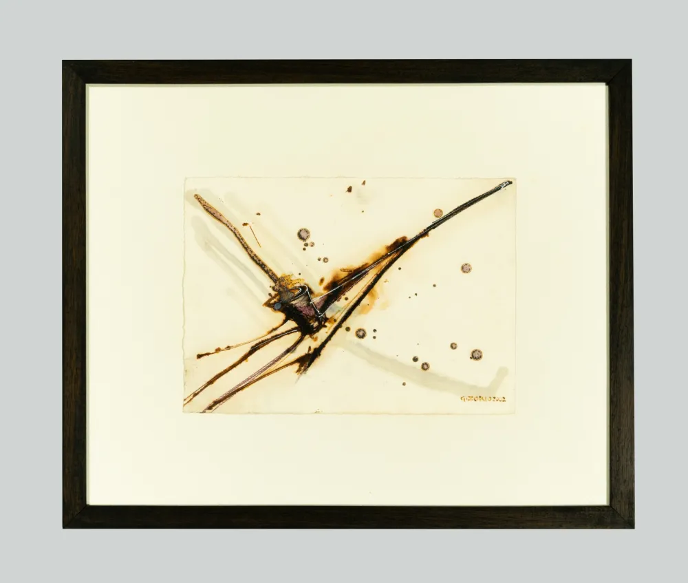 Sin Técnico Zorio - Senza titolo (Canoa)