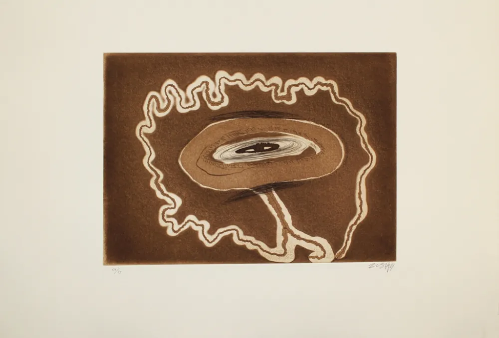 Aguafuerte Y Aguatinta Zush - Abraensud