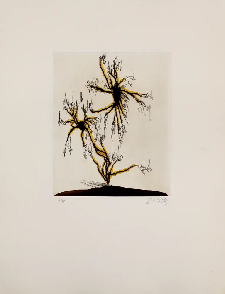 Aguafuerte Y Aguatinta Zush - Anzuras