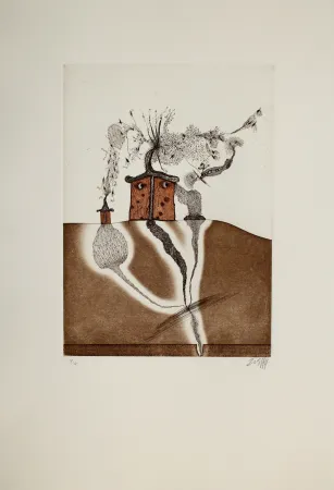 Aguafuerte Y Aguatinta Zush - Mahome