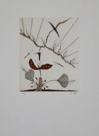 Aguafuerte Y Aguatinta Zush - Moplant