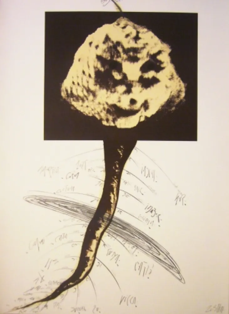 Litografía Zush - Sans titre 2