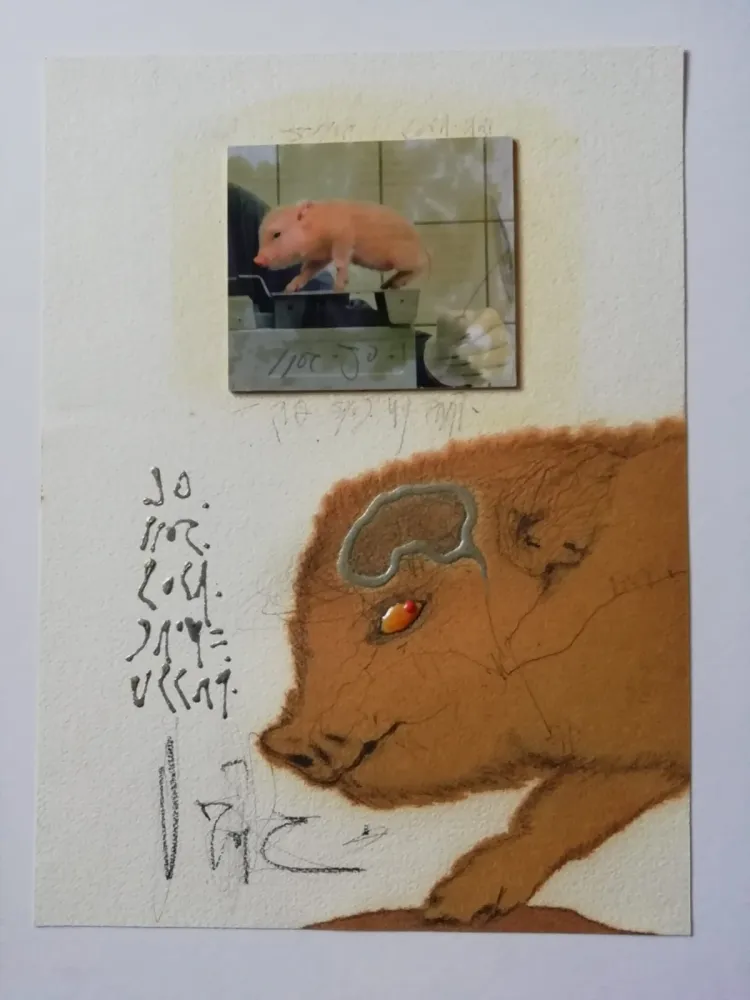 Sin Técnico Zush - Socjomo