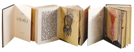 Libro Ilustrado Zush - Uroxos