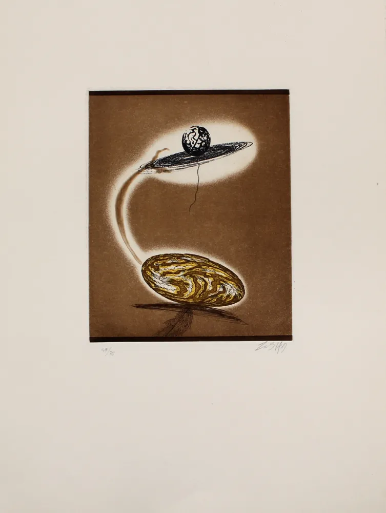 Aguafuerte Y Aguatinta Zush - Vloplanet